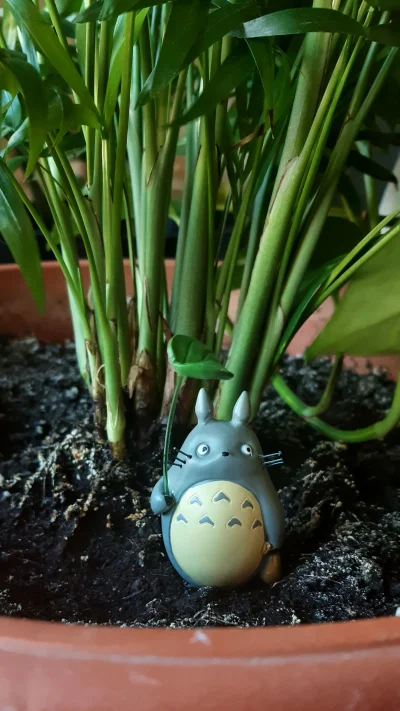 SzubiDubiDu - Wreszcie przyjechała do mnie najsłodsza rzecz ever. Figurka Totoro.

...