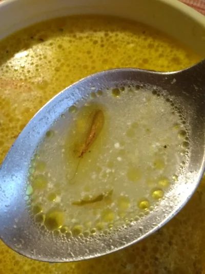 dlaczegotorobie - wyobraz sobie ze jesz zupe i znajdujesz muche/cme w zupie CO ROBISZ...