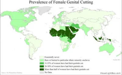 vendaval - > Okaleczanie żeńskich narządów płciowych najczęściej występuje w szeregu ...