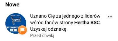 t.....l - Już mnie ten union #!$%@?. #heheszki #hertha #bundesliga #mecz