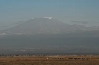 patqu - #podrozujzwykopem #kenya #kenia 
Kilimandżaro w Parku Amboseli