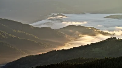 ocotuchodzi - Widze ze drzewa juz zasłoniły Tatry, jeszcze kilka lat temu widac było ...