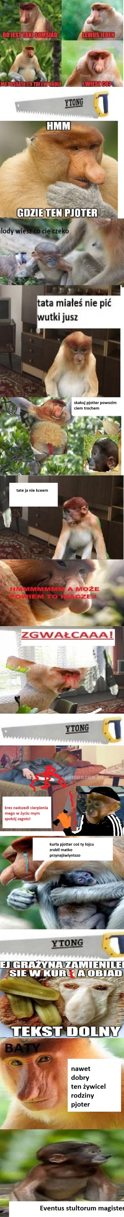 Enavax - #konkursnanajbardziejgownianymemznosaczem #nosaczsundajski #humorobrazkowy