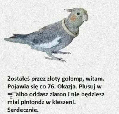 riells - raz dwa

#glupiewykopowezabawy #heheszki #humorobrazkowy