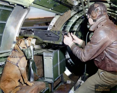 Budo - #budostory - zdjęcia z historią

Sierżant Harold Rogers pozuje ze swoim psem...