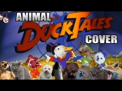 p.....k - @sorek: animal cover z intra ducktales ((poletzam))