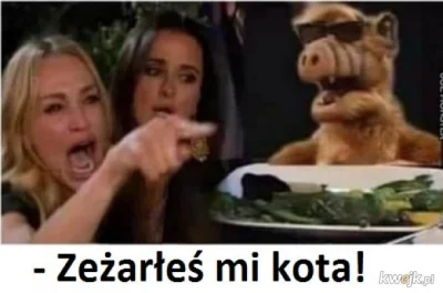 M.....o - #humorobrazkowy #heheszki #alf