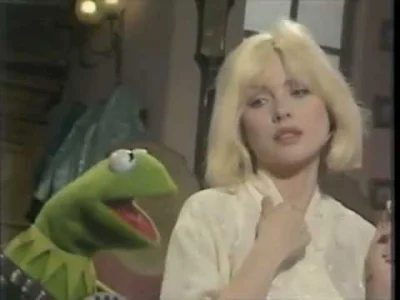 I.....u - Debbie Harry & Kermit the Frog - Rainbow Connection
#muzyka #kermit