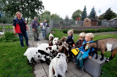 dynx - A tak to wyglada na zachidzie:
https://en.wikipedia.org/wiki/Petting_zoo
Szc...