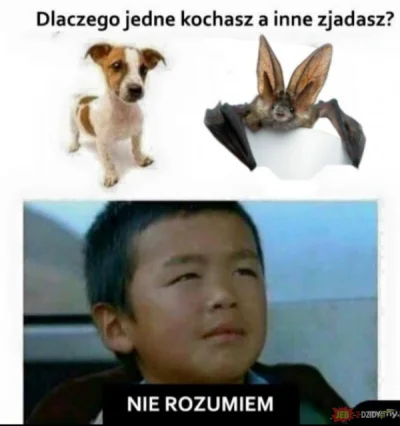 Gilgamesz69 - Jaka to różnica? 
#heheszki #humorobrazkowy #chiny #koronawirus #2019n...