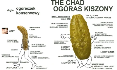kubapoz - Najprawdziwszy #chad vs #przegryw #heheszki #humorobrazkowy #ogur