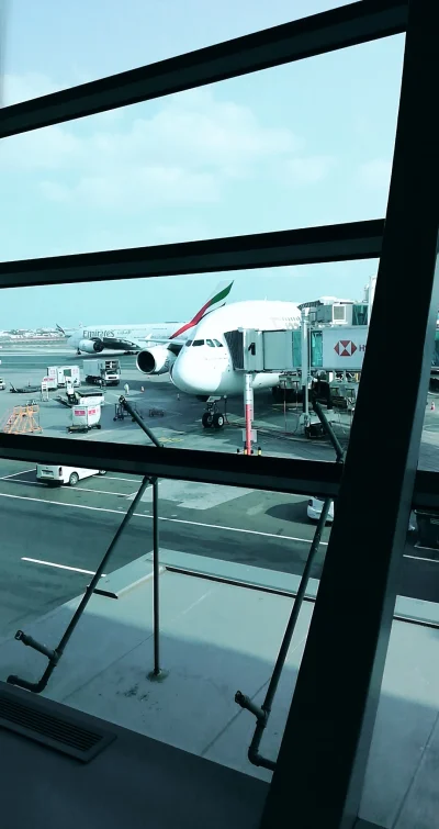 alpejskibarszcz - W końcu się spotykamy Airbusie A380 ( ͡° ͜ʖ ͡°)

#samoloty #podro...
