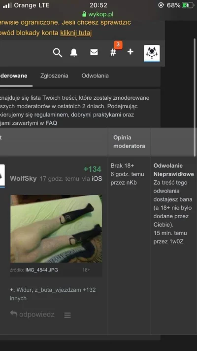 Rumski123 - Od kiedy dostaje się bana za treść odwołania?

#moderacjacontent #wtf #...