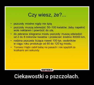 Fennrir - #ciekawostki #humorobrazkowy #heheszki #hajto #pilkanozna