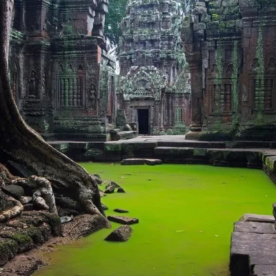 sandra925 - Świątynia Ta Prohm - Kambodża

#ciekawostki #fotografia #earthporn