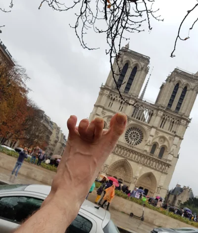 moja-lewa-stopa - @Sildenn: swoją drogą to zdjęcia z Notre Dame też mam ( ͡° ͜ʖ ͡°)