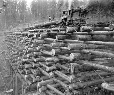 S.....o - A wooden crib trestle on the Columbia and Nehalem Valley Railroad, Oregon c...