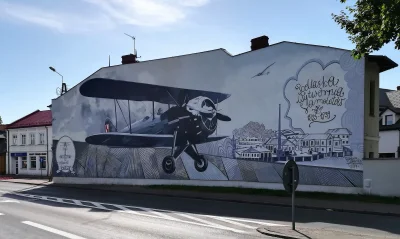 przyzwoity - #mural #streetart #bialapodlaska #lotnictwo