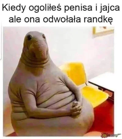 Lolkon - #humorobrazkowy #grazynacore #heheszki #rakcontent