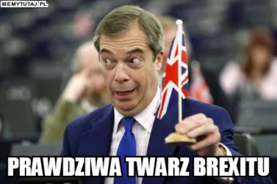 StaryWilk - >Facet narzeka na tłumy na lotnisku. "To nie jest Brexit, na który głosow...