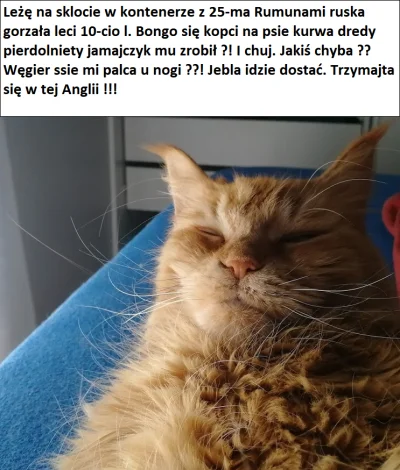 styroslaw - Trzymajcie się w tej kuwecie
#kot #koty #mojkot #dawidsulicki
