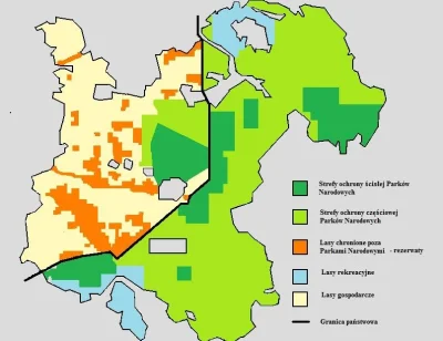 j.....p - > że to właśnie świerk jest głównym powodem tak licznego występowania korni...