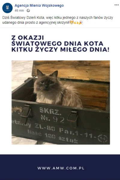 I.....w - Teraz to już jestem prawie pewien, że to jakiś mirek im ogarnia socjale. XD...