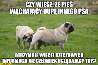 ErroL - @DoWhatYouWantButThinkAboutTheOmen: ten pies ma lepsze źródło wiadomości.