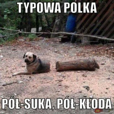 Ravenuss - Ja się mogę tylko z tym zgodzić (✌ ﾟ ∀ ﾟ)☞

#p0lka #memy #heheszki #humoro...