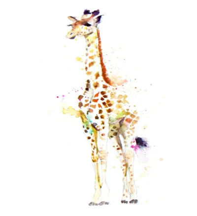 malakropka - Giraffe_
