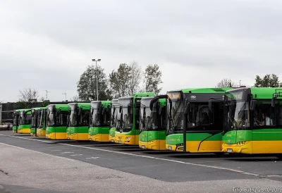 yourgrandma - #ankieta #komunikacjamiejska #autobusy