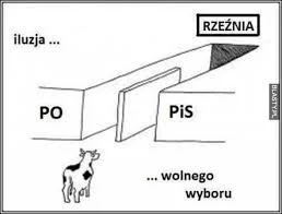 Why_Duck - @SiegfriedvonMarienstadt trzeba mieć problemy z pamięcią jak się nie pamię...