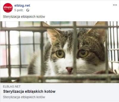 Sciernisco - Sterylizacja elbląskich kotów #codziennyelblagnet #heheszki #dziendobry ...