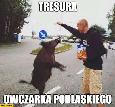 luczjanoitaliano - #heheszki #humorobrazkowy #podlasie