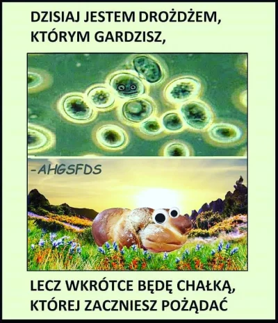 chwed - Coś dla #przegryw ( ͡° ͜ʖ ͡°) #humorobrazkowy