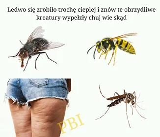 grzes1290 - Prawilnie przypominam, że niedługo lato i wiecie co nas czeka #heheszki #...