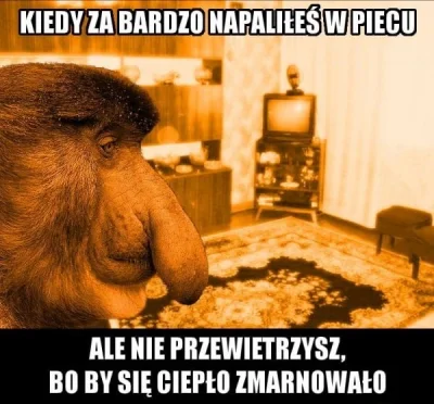 Snejku788 - O jak prychłem xDDD
#typowypolak #nosacz #nosaczsundajski #heheszki #hum...