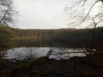 M.....i - WPN, jezioro Kociołek, miłej soboty Mirki i Mirabelki! 
#spacer
#narura
#zd...