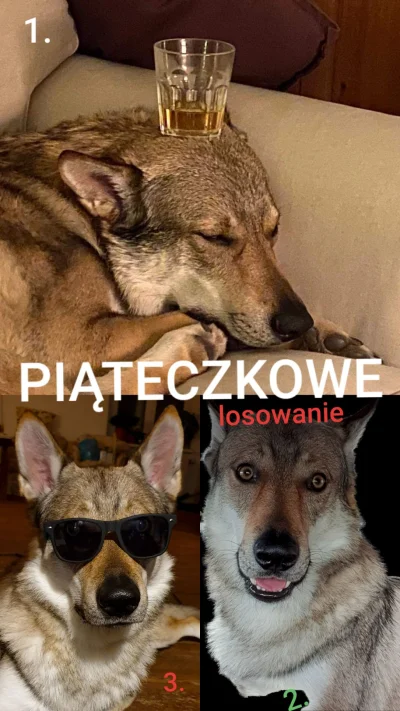 pranko_csv - Zakreć plusem aby zobaczyć kim byłoś wczoroj!
Pranko nie chce plusa, wię...