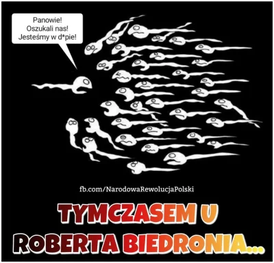 Ponzi - Tymczasem w sztabie wyborczym Roberta Biedronia...

#heheszki #humorobrazko...