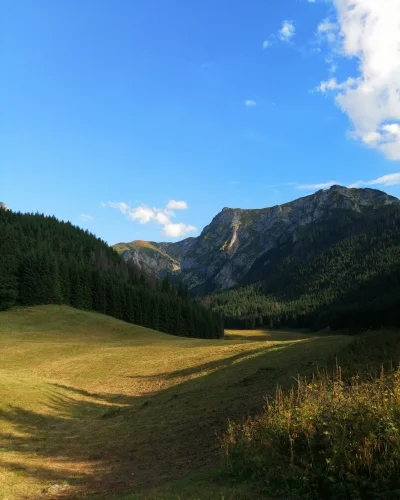 Kacper36 - Dolina Małej Łąki w ubiegłe wakacje :) 

#gory #tatry #mojezdjecie #fotogr...