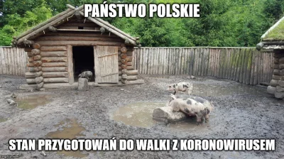 chamik - #2019ncov #testoviron #zalesie #pdk #humorobrazkowy #bekazpisu #koronawirus ...