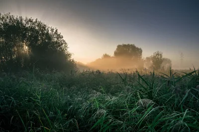 snejku-plisken - #fotografia #zdjecia #mojezdjecie #tworczoscwlasna #estetyczneobrazk...