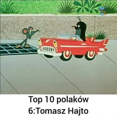 H4LC1K - #heheszki #humorobrazkowy #hajto