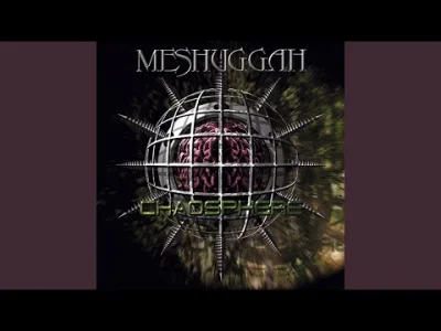 pekas - #meshuggah #metal #djent #progressivemetal #metalprogresywny #muzyka

Meshugg...