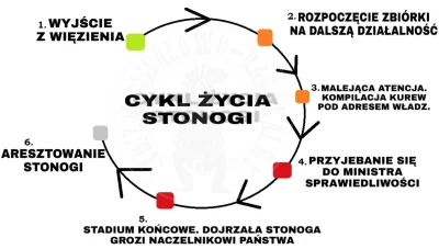 Anon_daru - I tak się znów zamyka cykl życia Stonogi