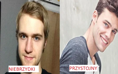 Niski_Manlet - Niebrzydki to nie to samo co przystojny
Dzisiaj na tagu widziałem żal...