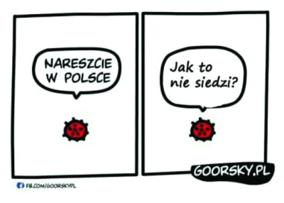 ZarazSieRozkreci - Mikro w pigułce

#koronawirus #hajto #polska #heheszki #humorobr...