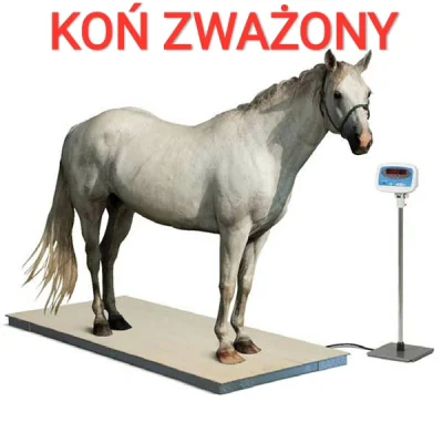 kcrgs - #konzwalony #kon #masturbacja #smieszneobrazki #heheszki
( ͡° ͜ʖ ͡°)