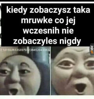 MemeFairy - @balatka: kiedyś pokazałem mamełe tego mema z tomkiem i akurat szczerze s...